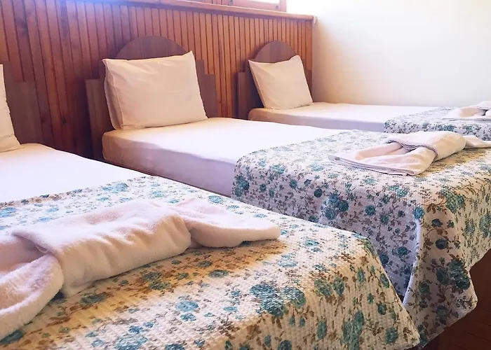 Hotel Saatli Konak Ayvalı